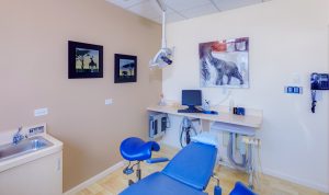 westchester pediatric dentist