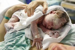 vernix dutchess doula