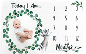 easy milestone photo mat