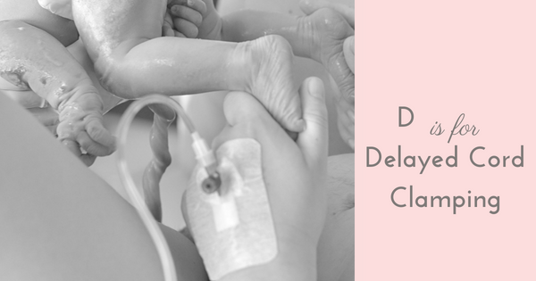 dutchess delayed cord clamping westchester