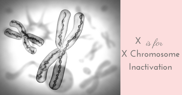 x chromosome inactivation westchester doula dutchess doula