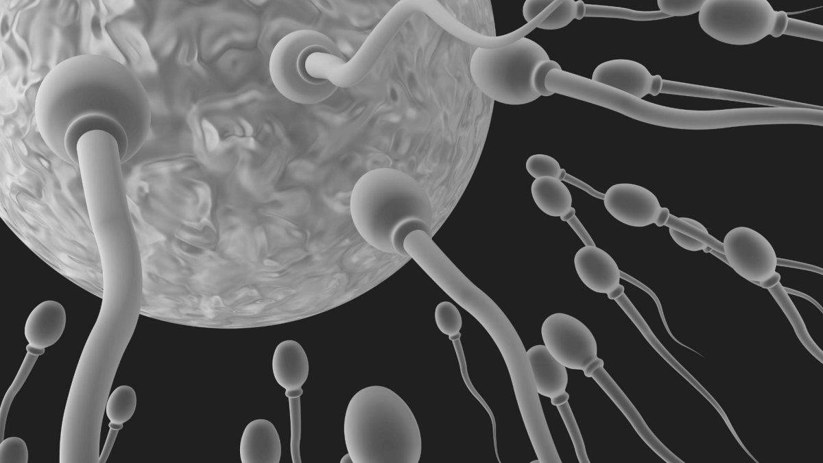 simple ways to improve sperm health