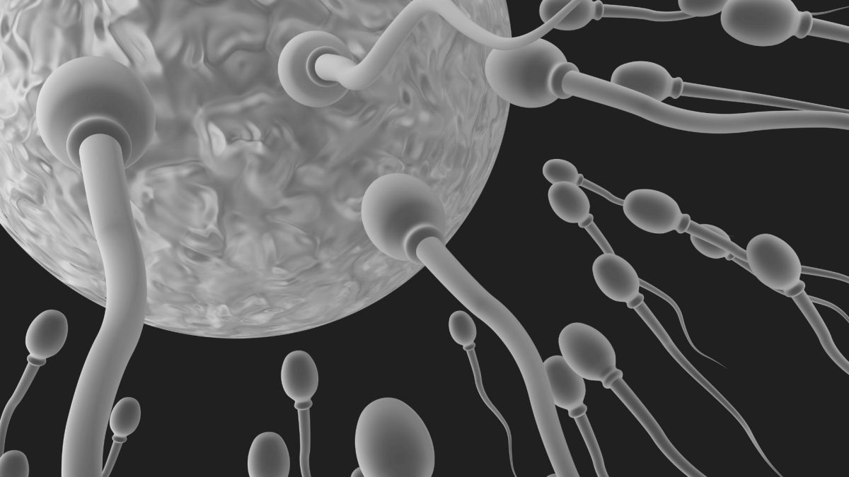 Simple Ways To Improve Sperm Health Factors That Affect Male Fertility 